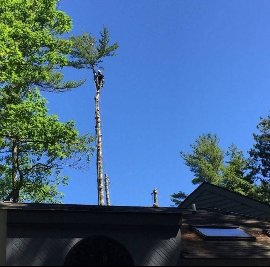 Shoreline Stabilization | East Wakefield, NH Shoreline Stabilization | East Wakefield, NH